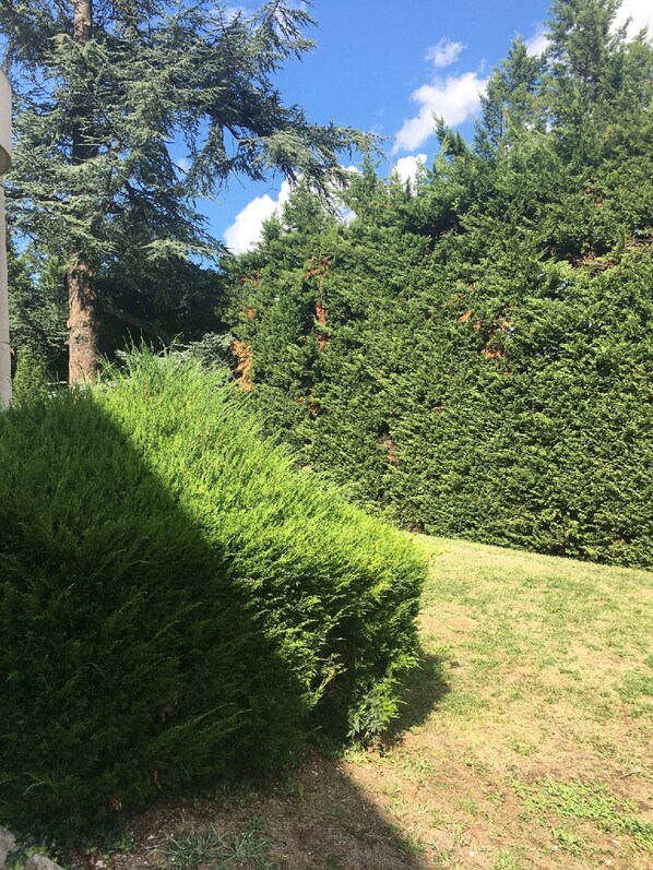 View from room