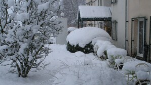 Een besneeuwde tuin met een haag, een stoel en een gebouw op de achtergrond.