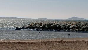 A rocky shoreline with a clear view of the sea and distant landforms. - Premiere Classe Toulon - La Seyne sur Mer (La Seyne-sur-Mer)