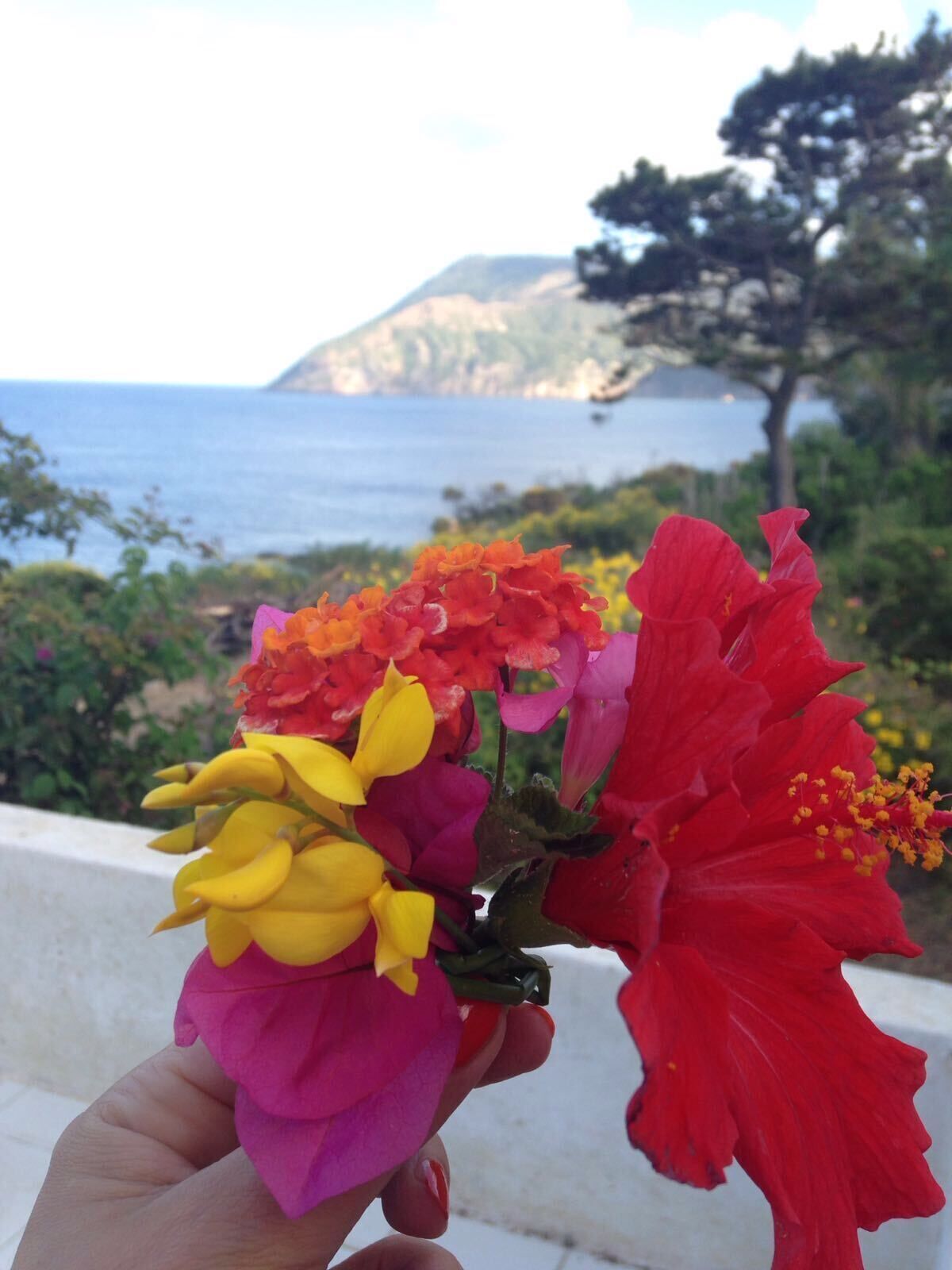 A hand holding a bouquet of flowers with a coastal landscape in the background.