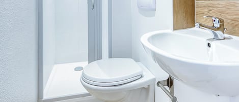 Eco-friendly toiletries, hair dryer, towels