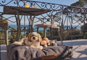 Property grounds - Amadria Park Hotel Agava  (Opatija)