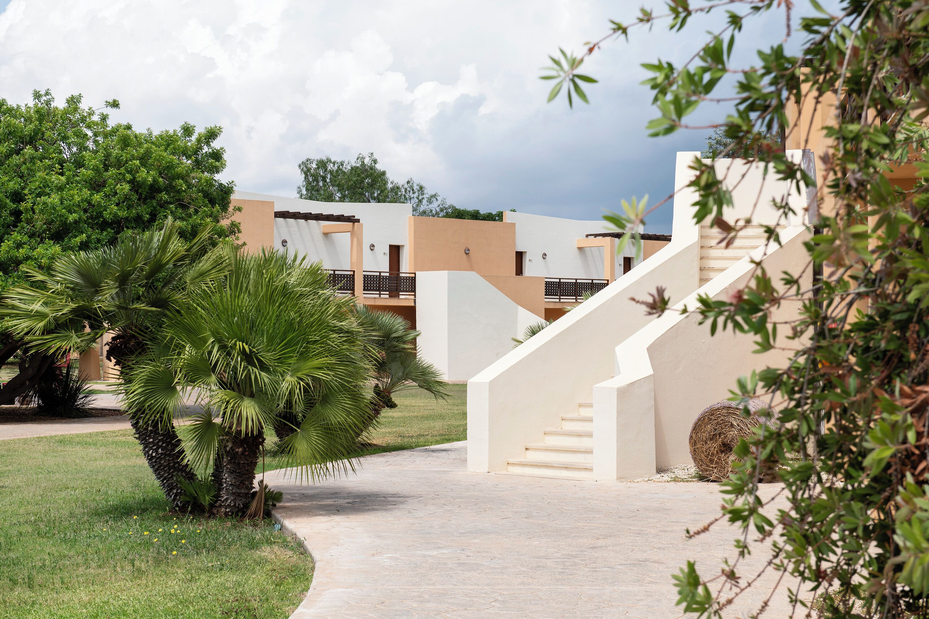 A pathway leading to a building with a staircase and a palm tree.