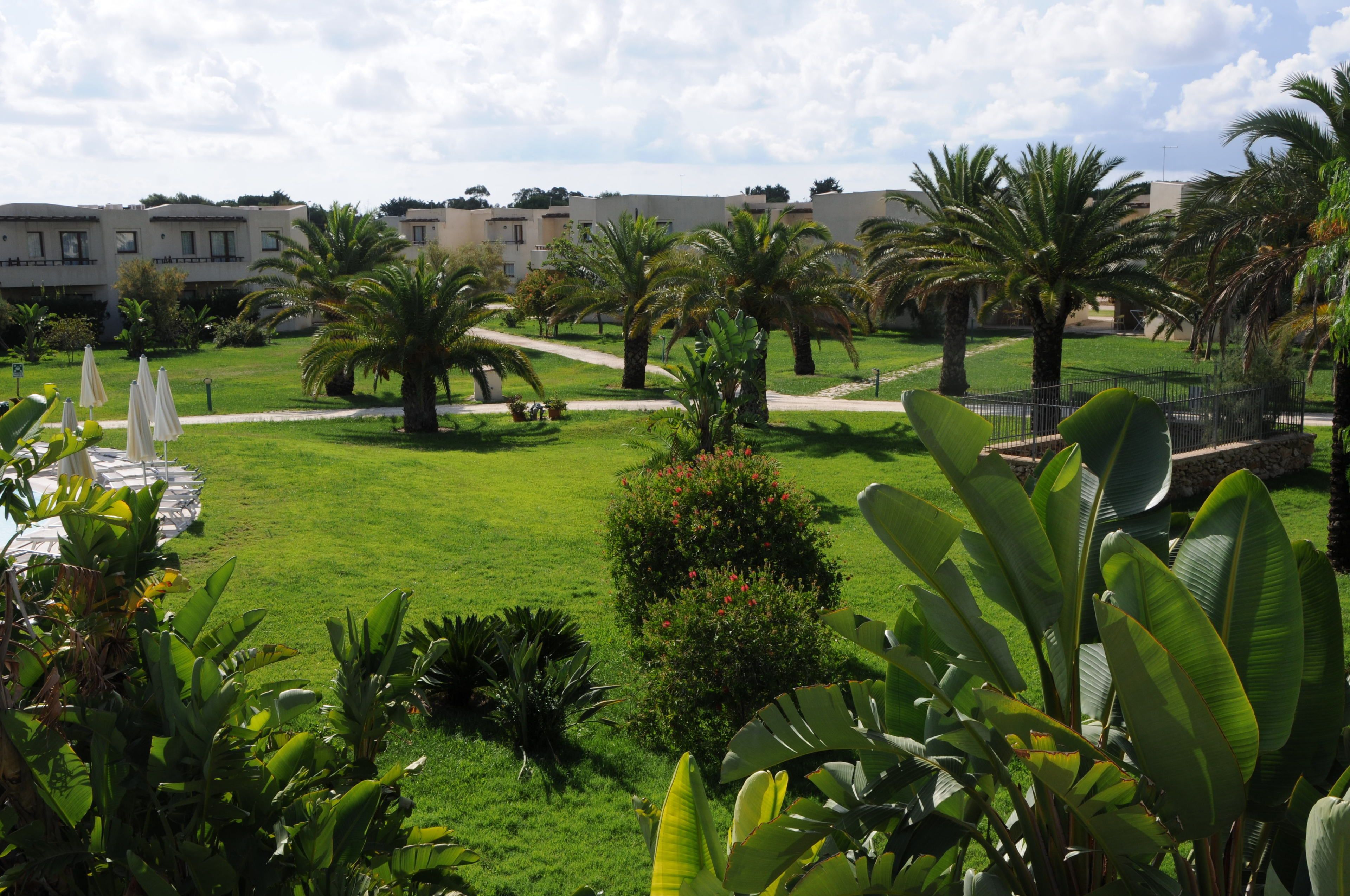 A well-maintained garden with palm trees, a fountain, and a pathway leading to a building with multiple balconies.