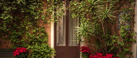 A courtyard with a door, potted plants, and a bench.