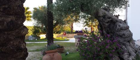 Ein angelegter Garten mit einer großen Felsformation, Kübelpflanzen und einer Steinsäule.