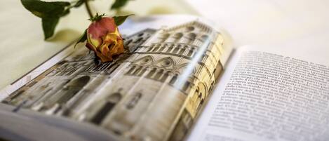 An open book with a rose on top.