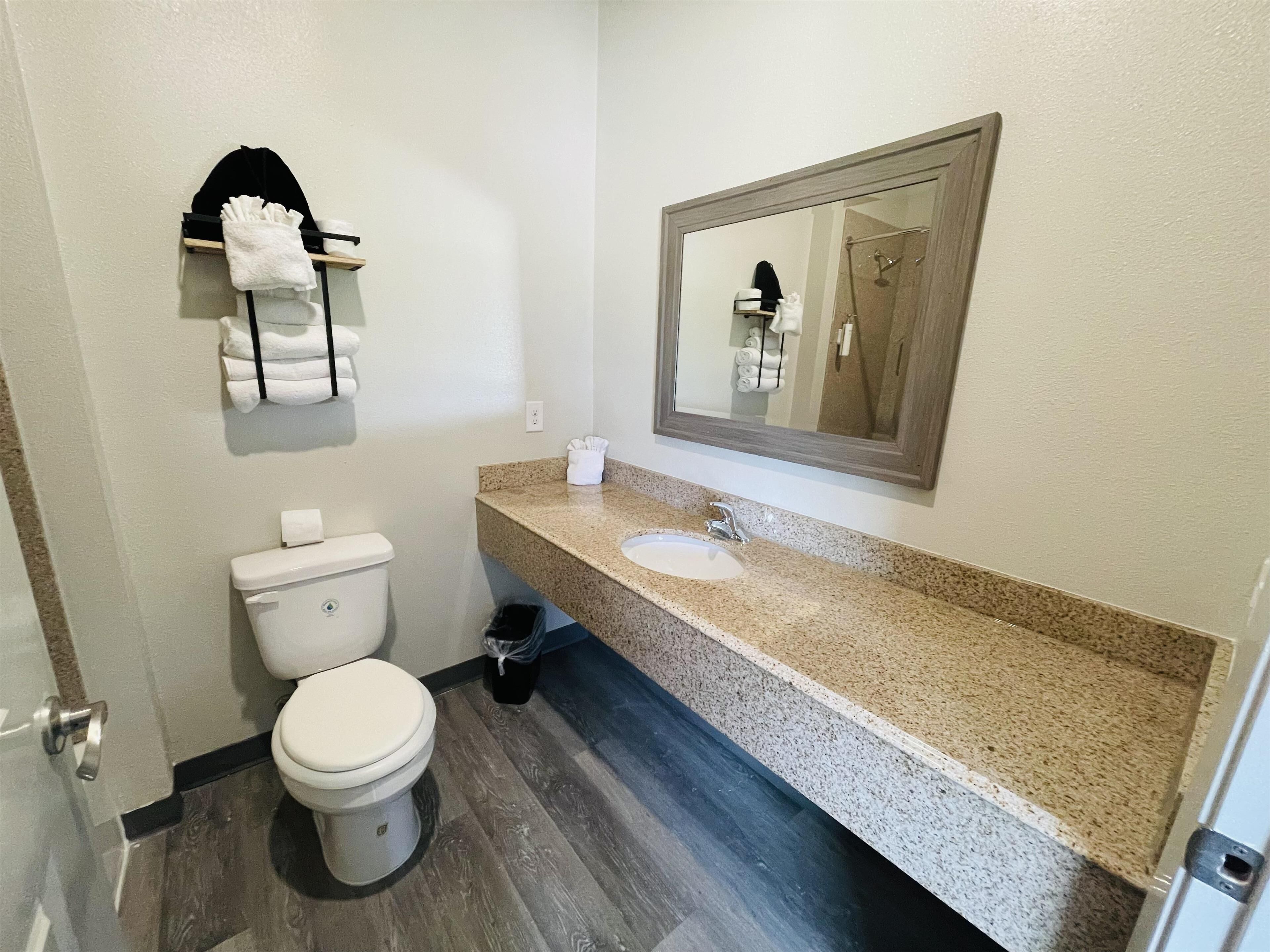 Photo - Sonesta Essential Hotel Houston-I-45 Spring