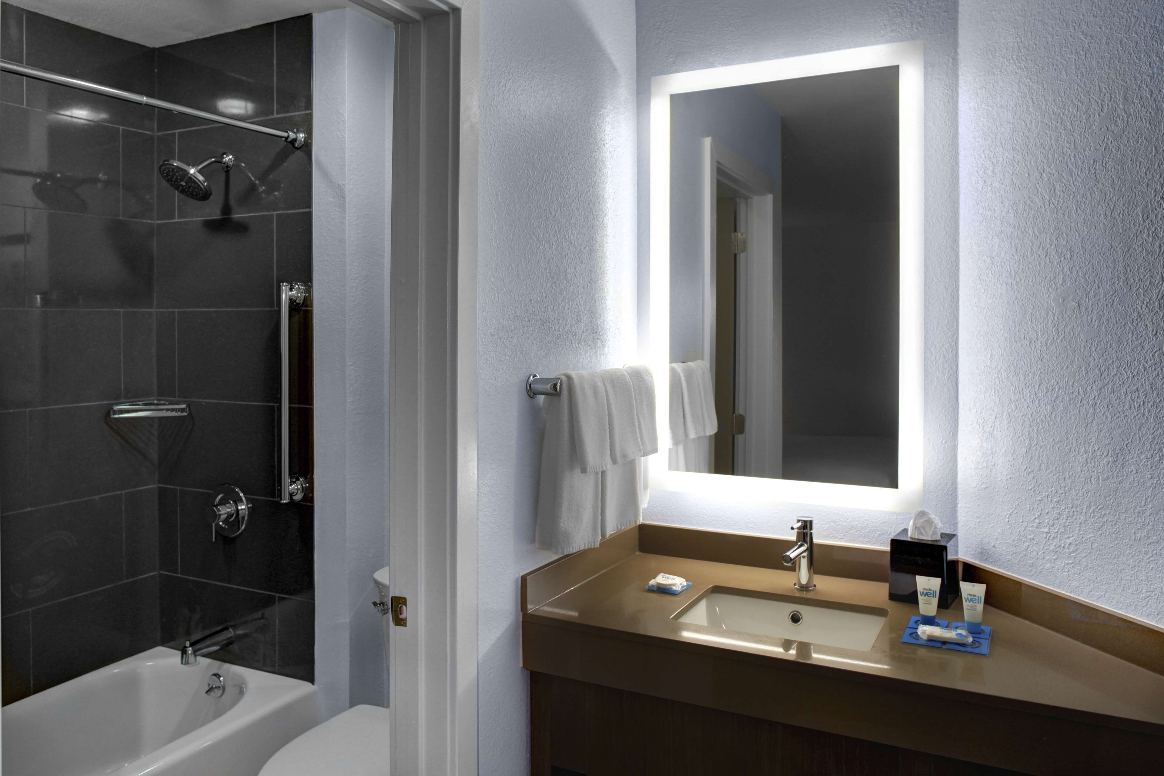 studio suite, 1 king bed, accessible, bathtub | bathroom | combined shower/bathtub, designer toiletries, hair dryer, towels