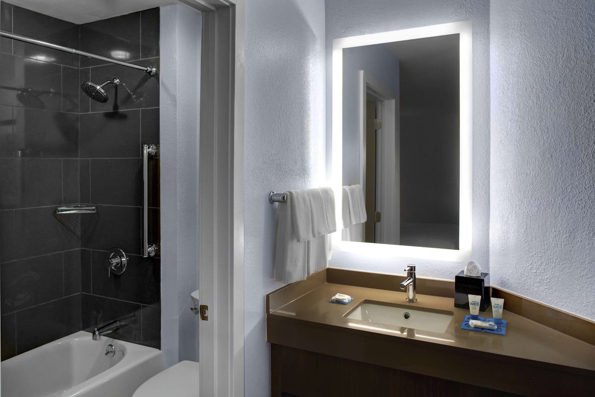 studio suite, 1 king bed, accessible, bathtub | bathroom | combined shower/bathtub, designer toiletries, hair dryer, towels