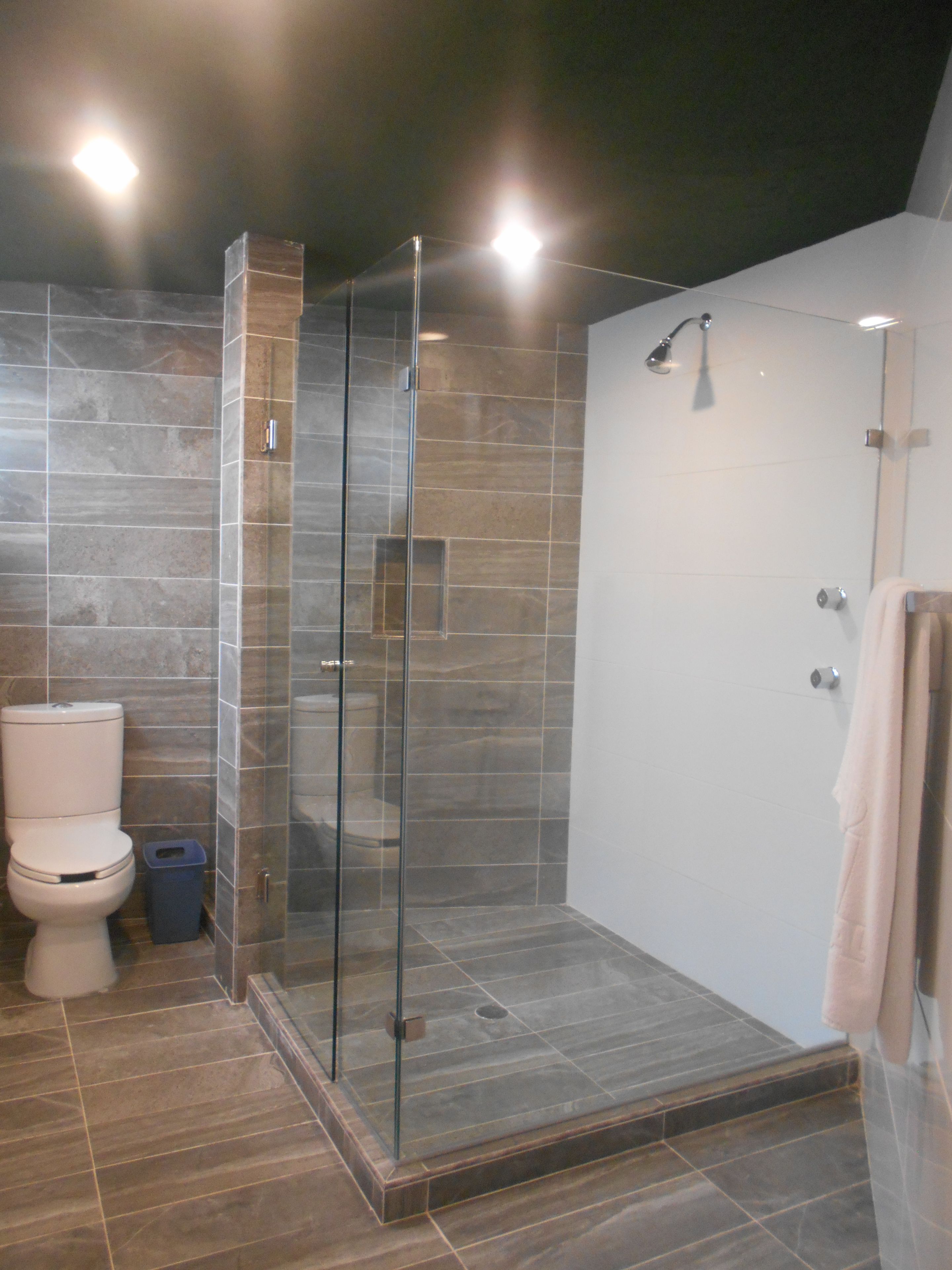 Ein modernes Badezimmer mit einer Duschkabine, einer Toilette und einem Mülleimer.