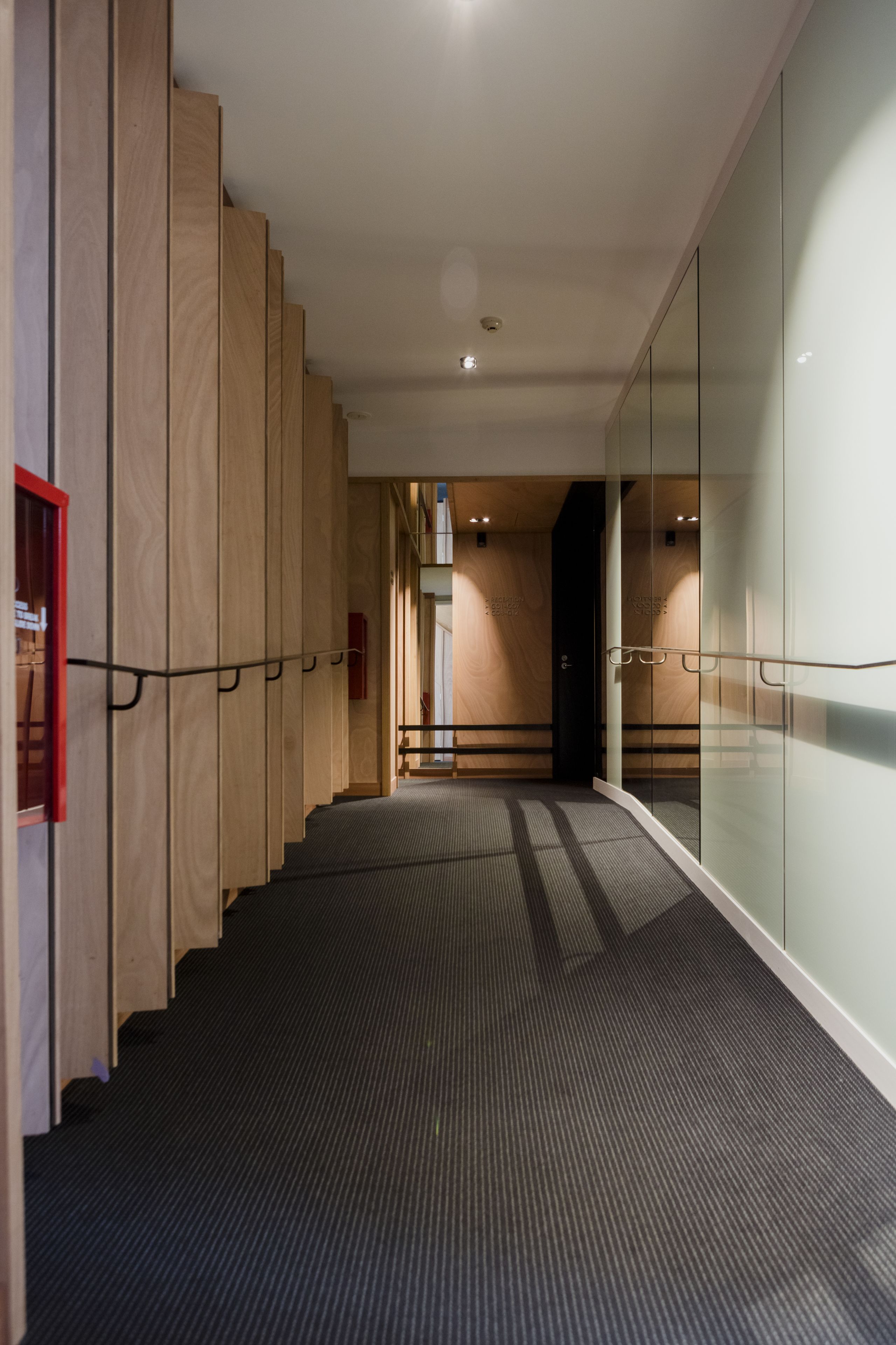 A modern hallway with wooden paneling on the left, a glass wall on the right, and a carpeted floor.