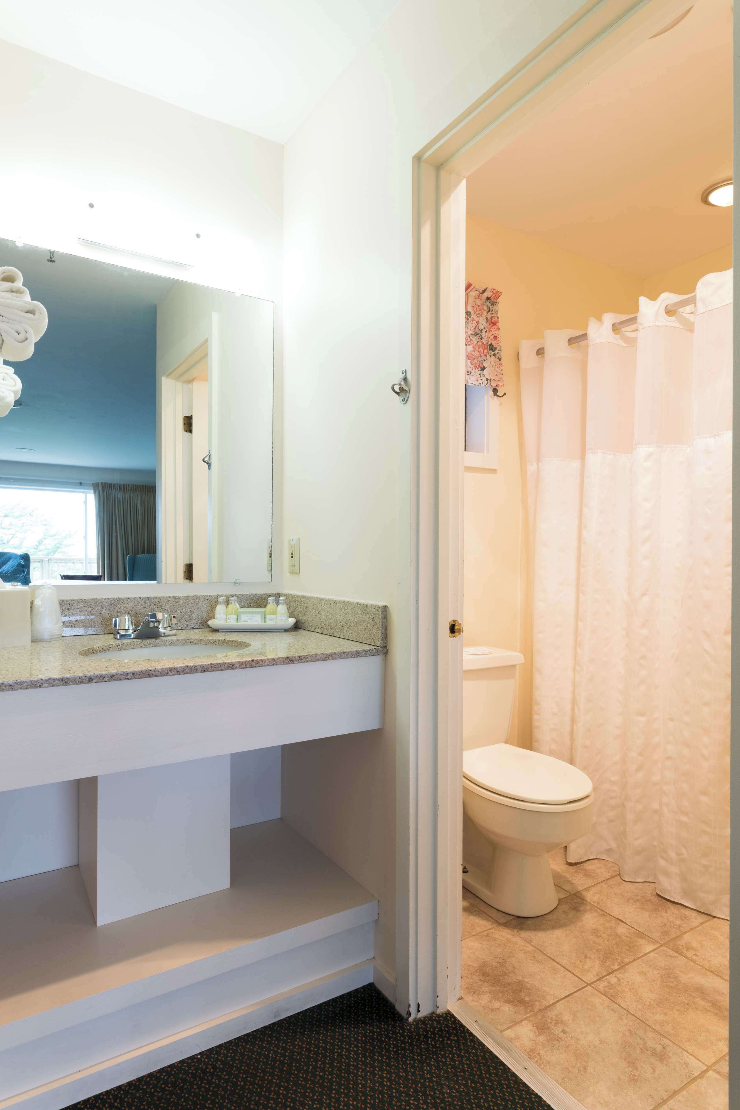 A bathroom with a sink, mirror, toilet, and shower curtain.
