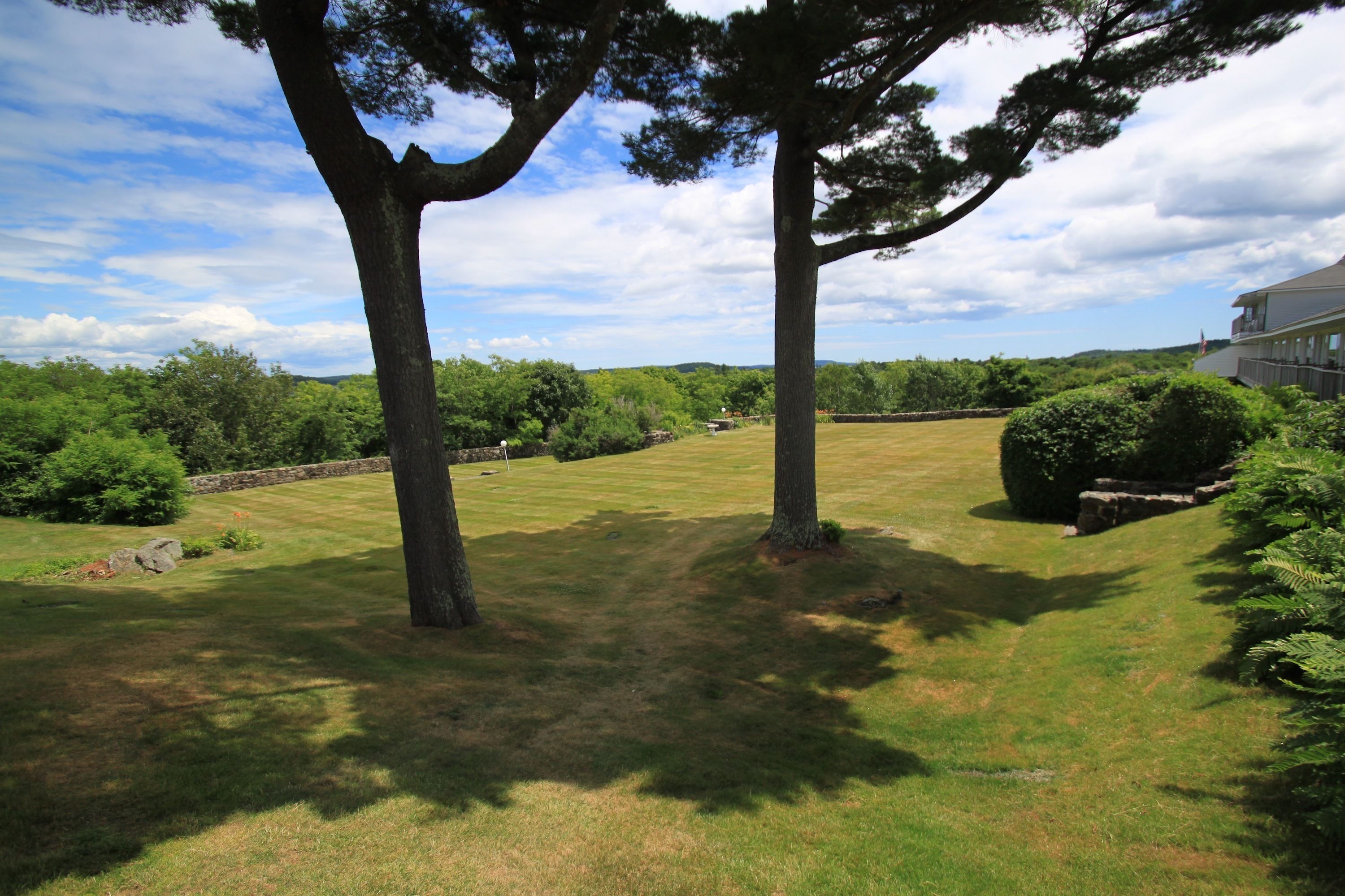 A well-maintained lawn with two prominent trees, a stone wall, and a building with a balcony in the background.