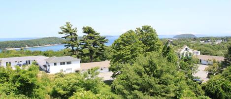 A residential area with houses, dense greenery, and a view of the sea.