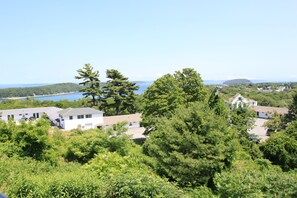 A residential area with houses, dense greenery, and a view of the sea.