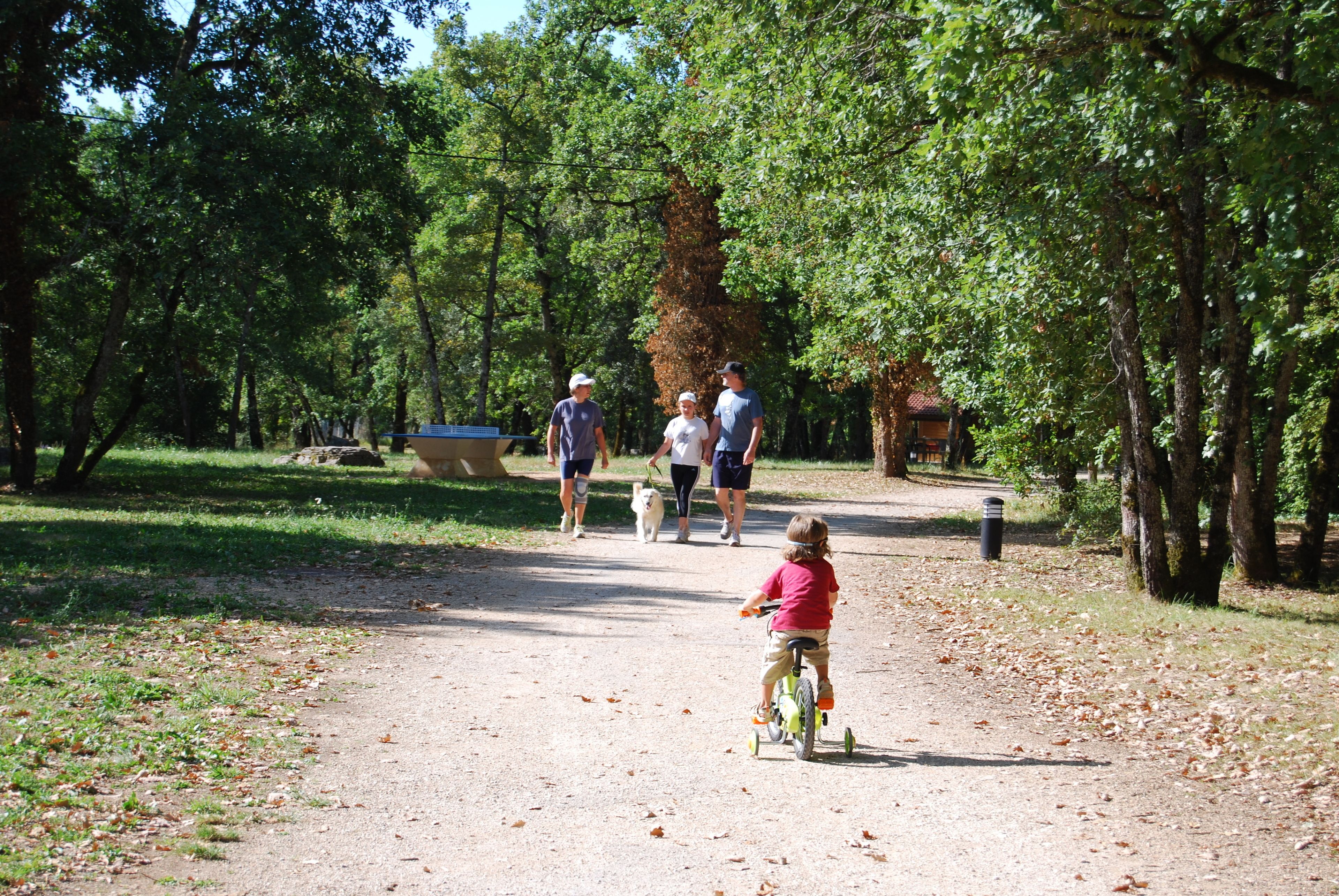 Un sentier de terre dans un parc, avec des arbres, et un enfant à vélo.