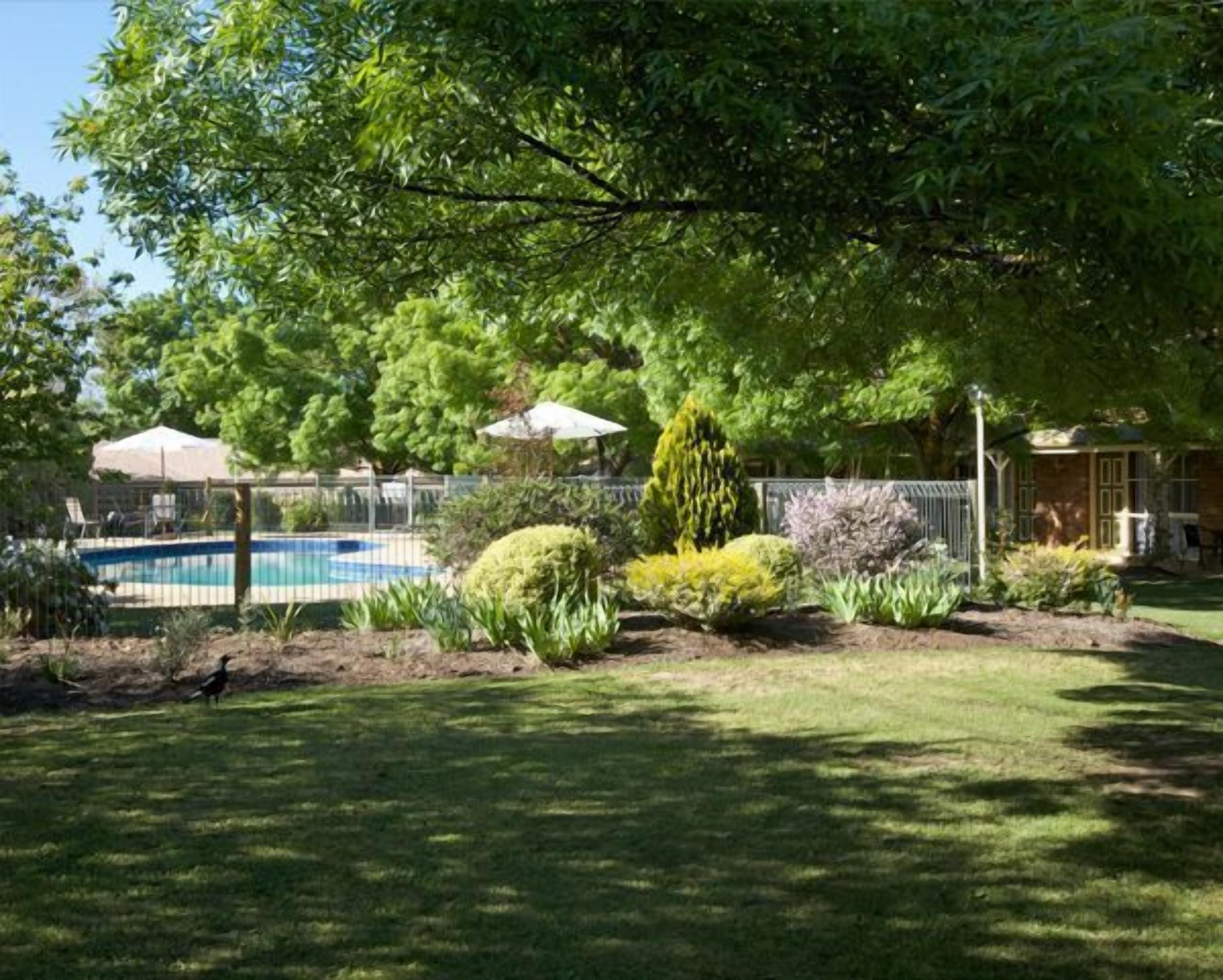 Ein Garten mit Schwimmbecken, umgeben von verschiedenen Pflanzen und Bäumen.
