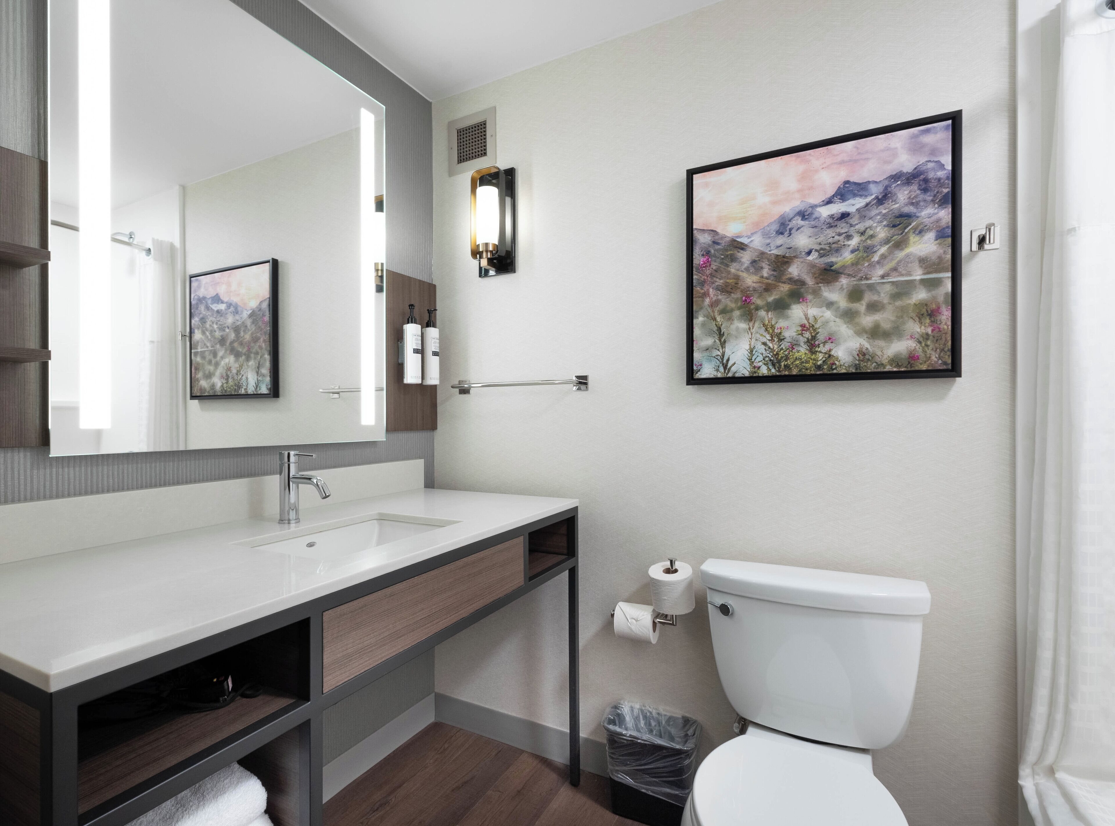 A modern bathroom with a large mirror, a sink, a toilet, and a framed landscape painting on the wall.