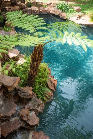 Udendørs pool, parasoller, liggestole