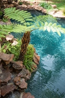 Una piscina al aire libre, sombrillas, sillones reclinables de piscina