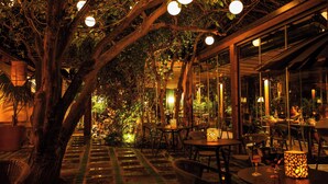 An outdoor dining area with tables and chairs, surrounded by trees and illuminated by hanging spherical lights. - Magaggiari Hotel Resort (Cinisi)