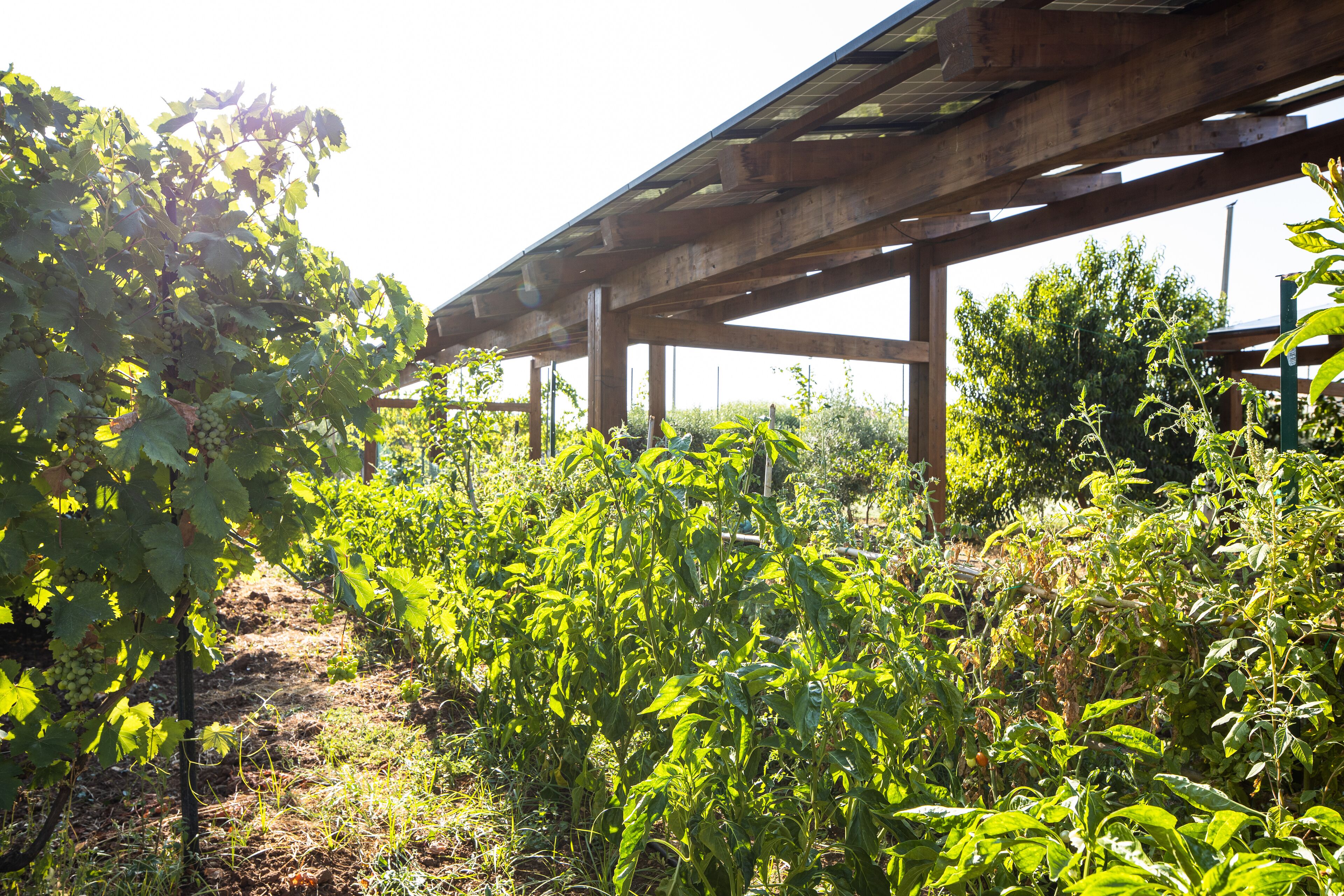 breakfast, lunch, dinner served; italian cuisine, al fresco dining