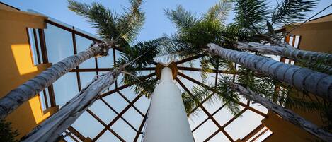 A high ceiling with a central column and palm trees framing the view.