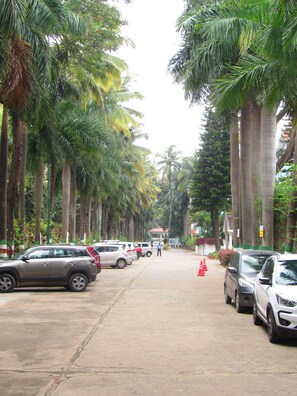 A street lined with tall palm trees and parked cars. - Ramanashree California Resort (Bengaluru)