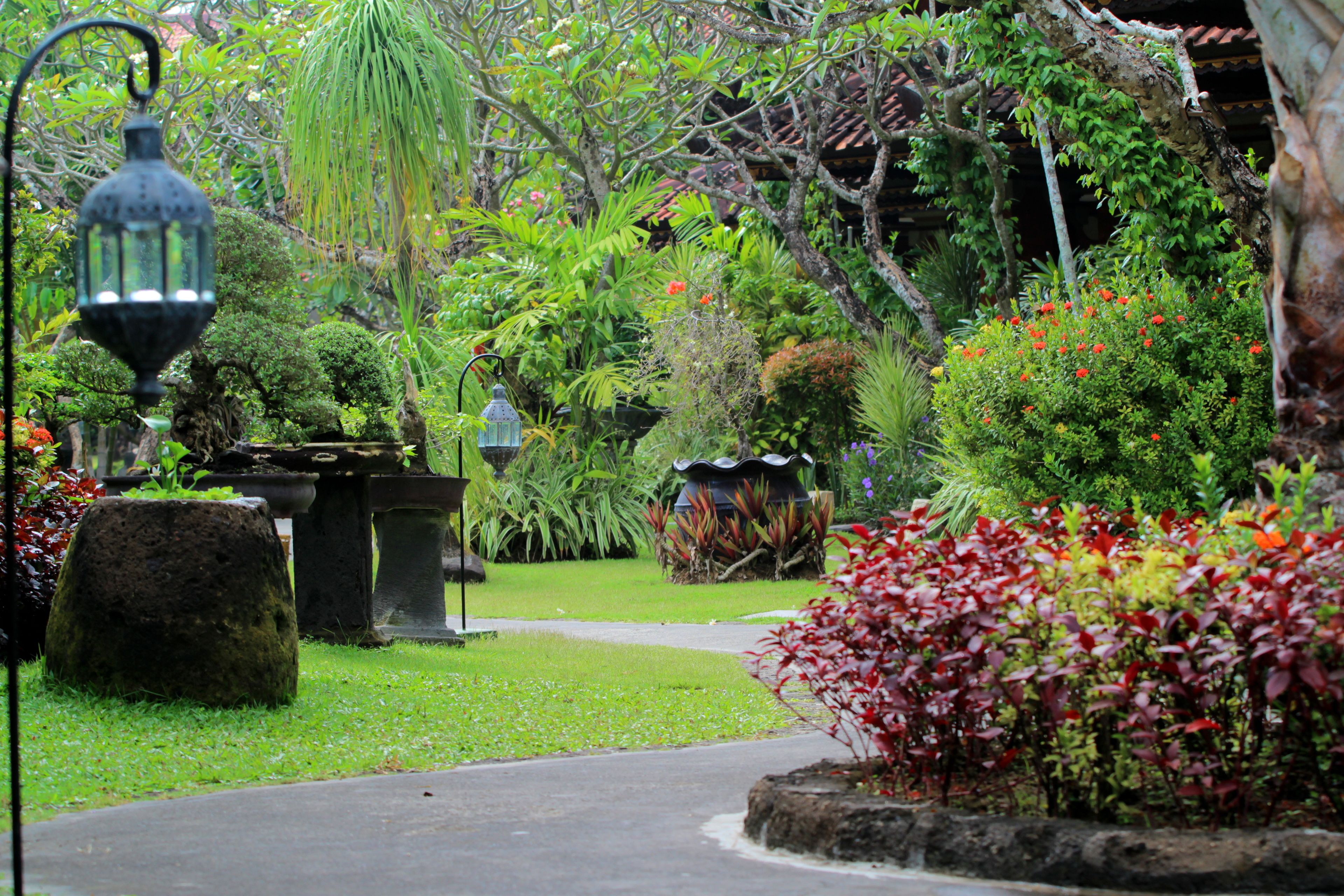 A garden pathway with various plants and a lantern.