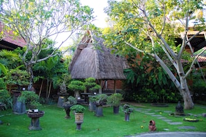 Vườn