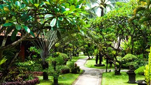 Quang cảnh nhìn từ nơi lưu trú