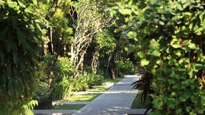 A pathway flanked by lush greenery and trees, leading into a shaded area. - Matahari Bungalow (Kuta)