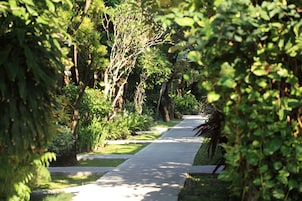Un sendero bordeado de abundante vegetación y árboles, que conduce a una zona sombreada.