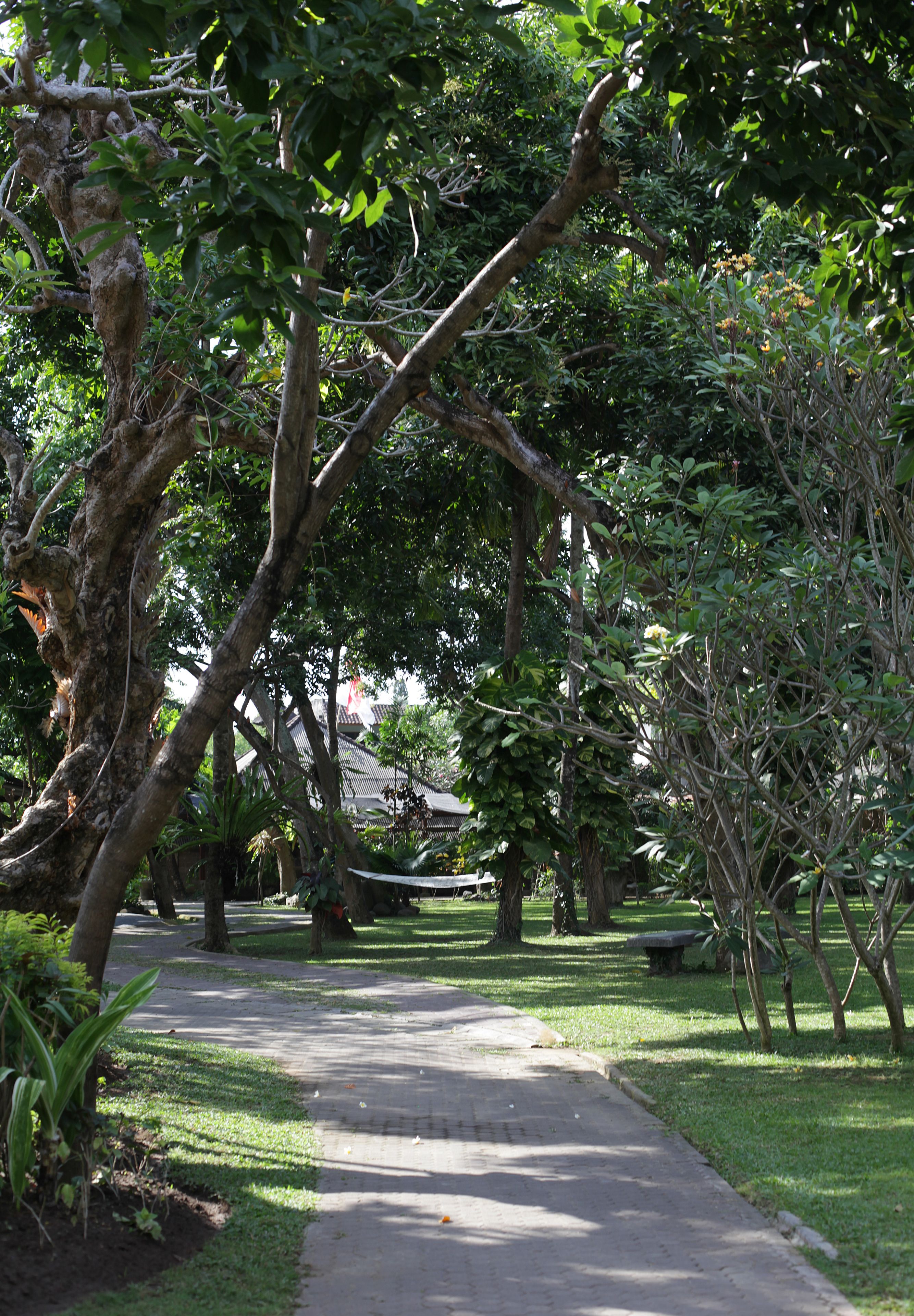 A pathway through a park with trees and a building in the background.