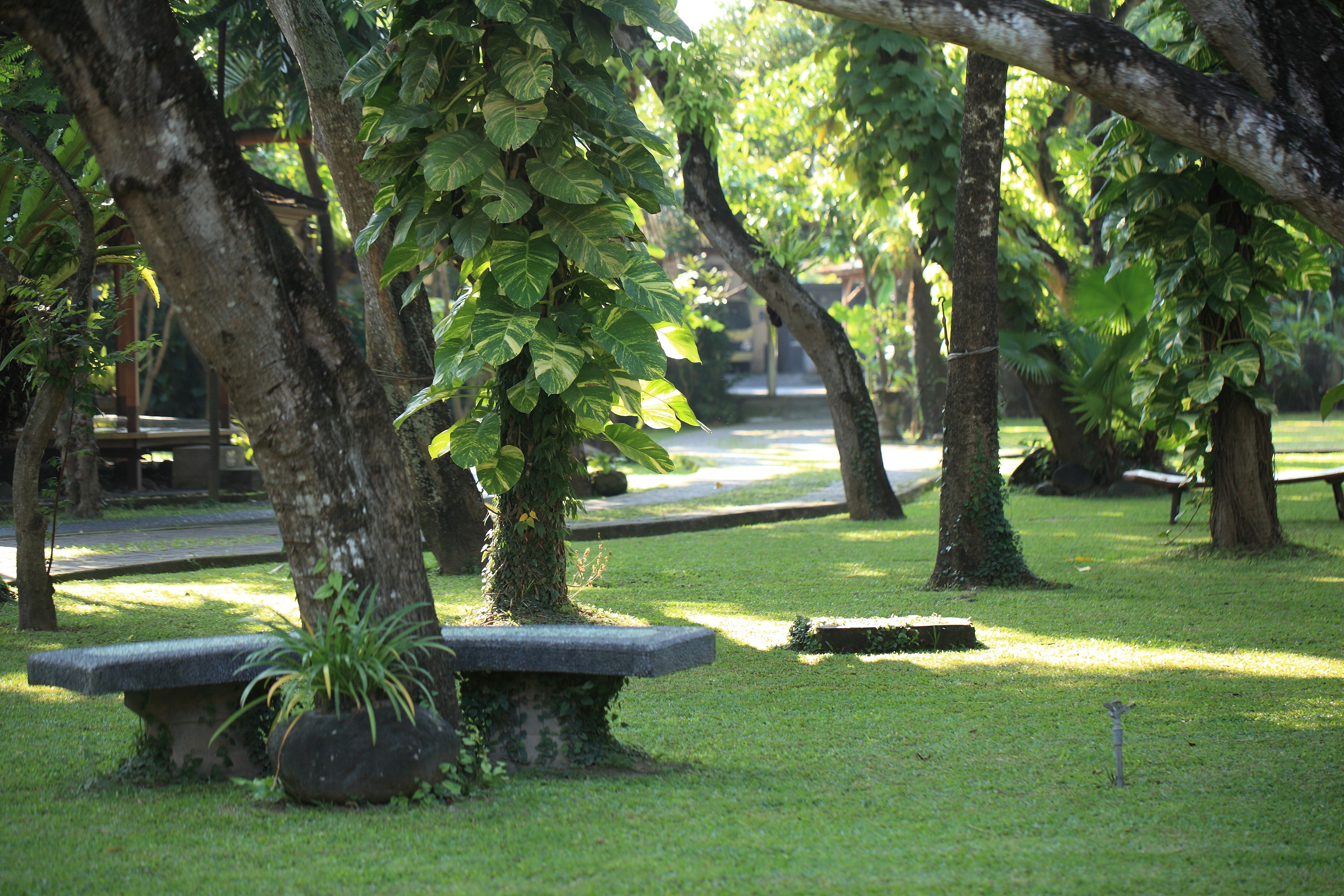 A park with benches, trees, and a pathway.