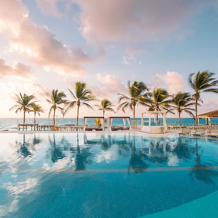 An infinity pool with palm trees and a beach view.