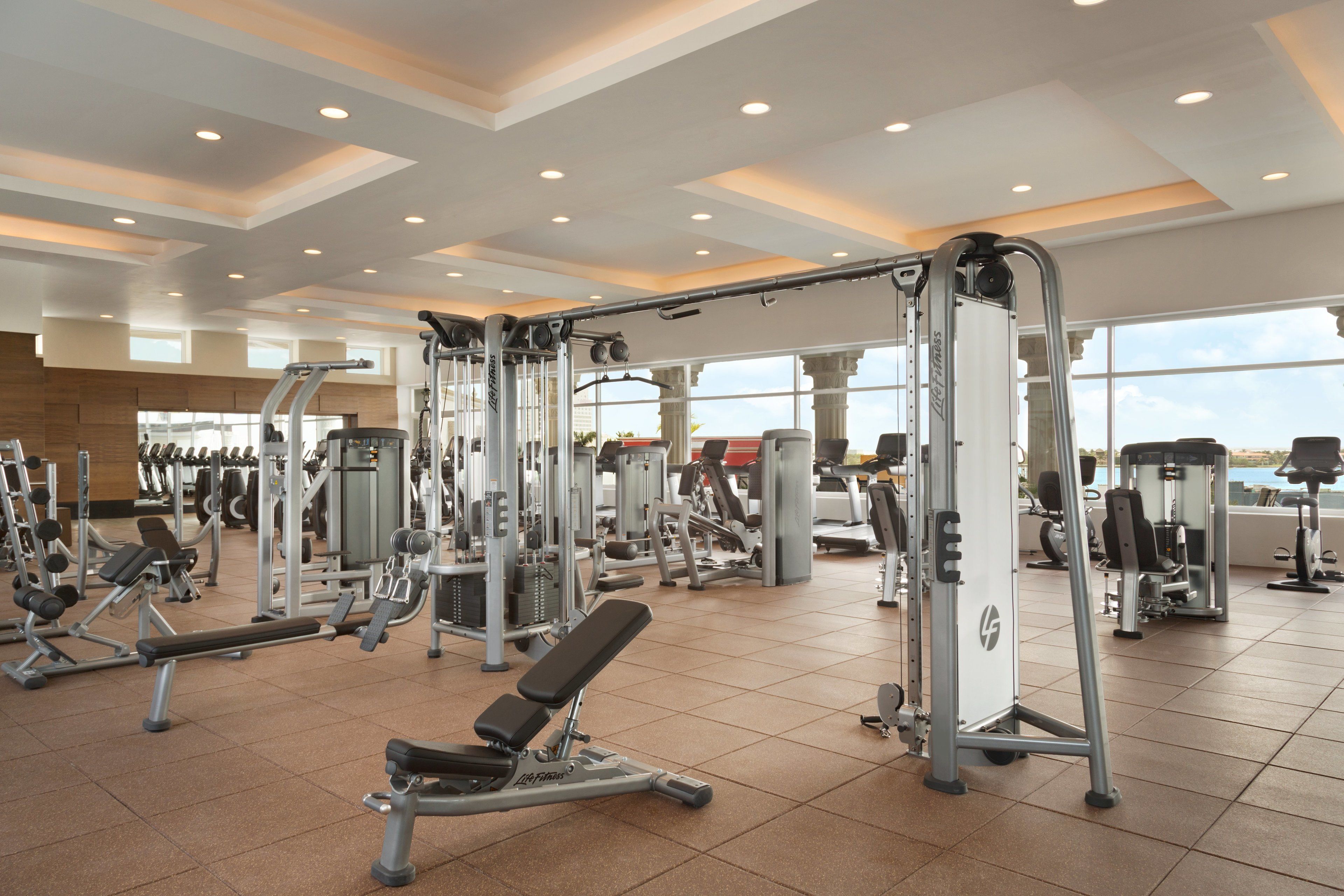 A spacious gym with various exercise machines, large windows, and a high ceiling.