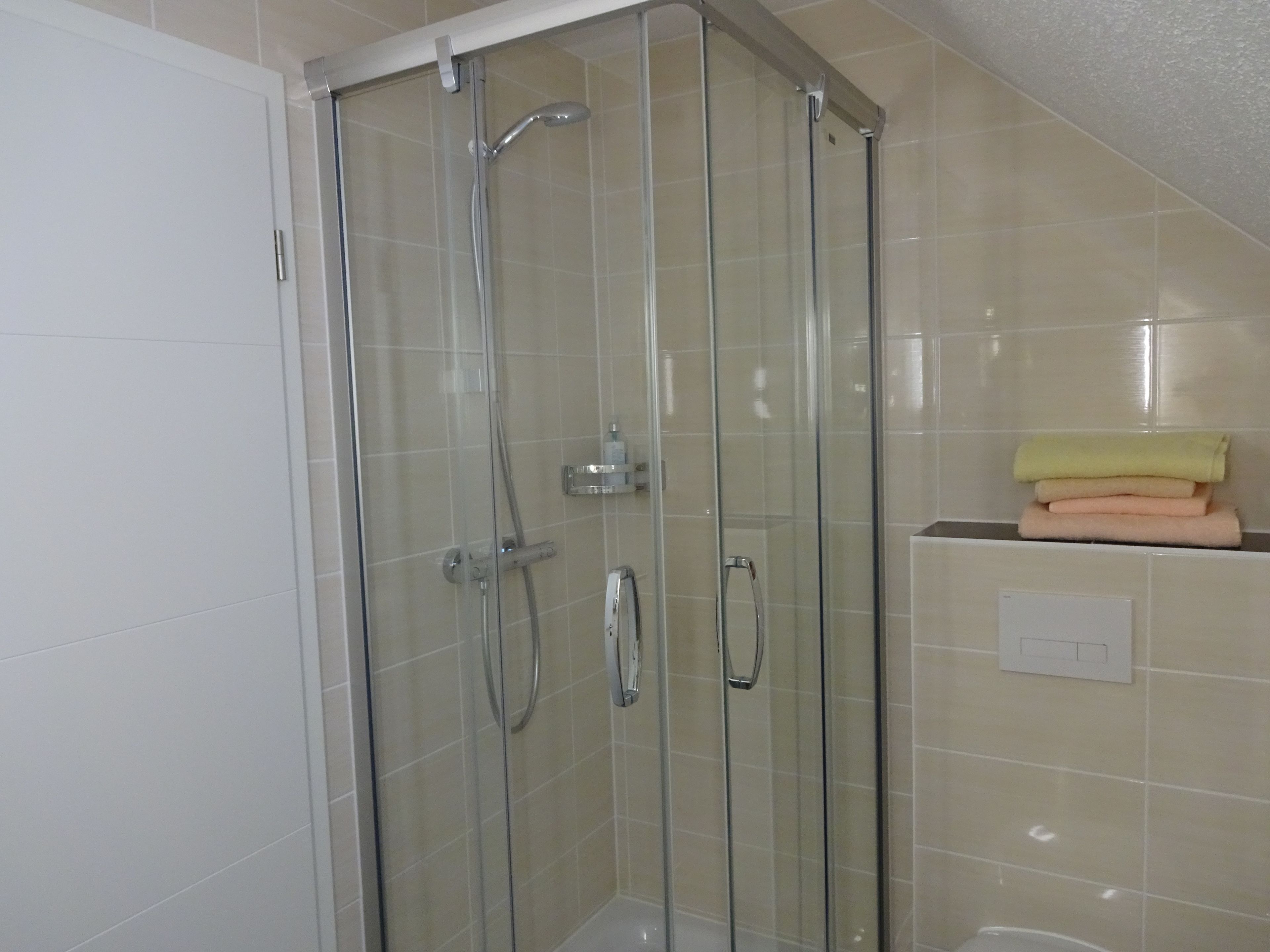 A glass-enclosed shower with a handheld showerhead and a wall-mounted faucet.