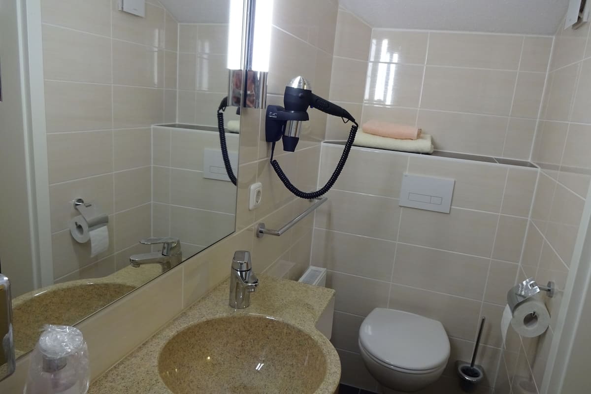 single room | bathroom | shower, hair dryer, towels