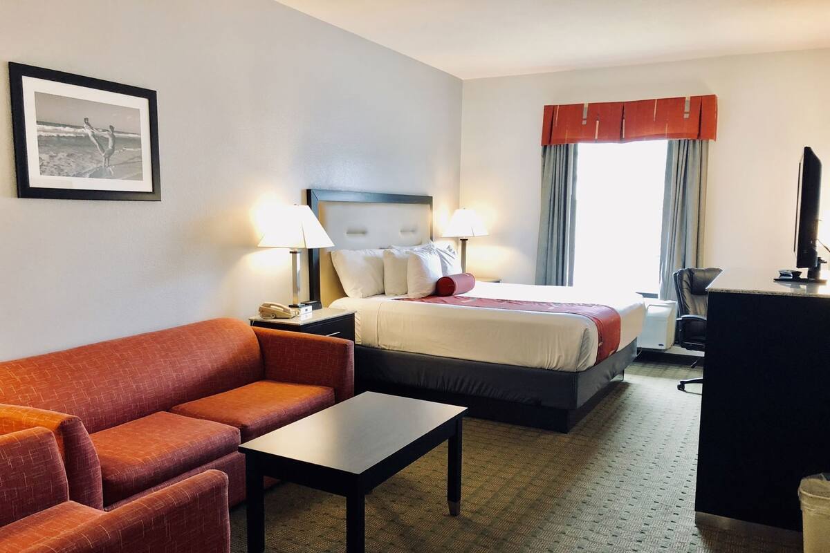 Una habitación de hotel con una cama, un escritorio, una silla, un sofá, una mesita de noche y una lámpara.