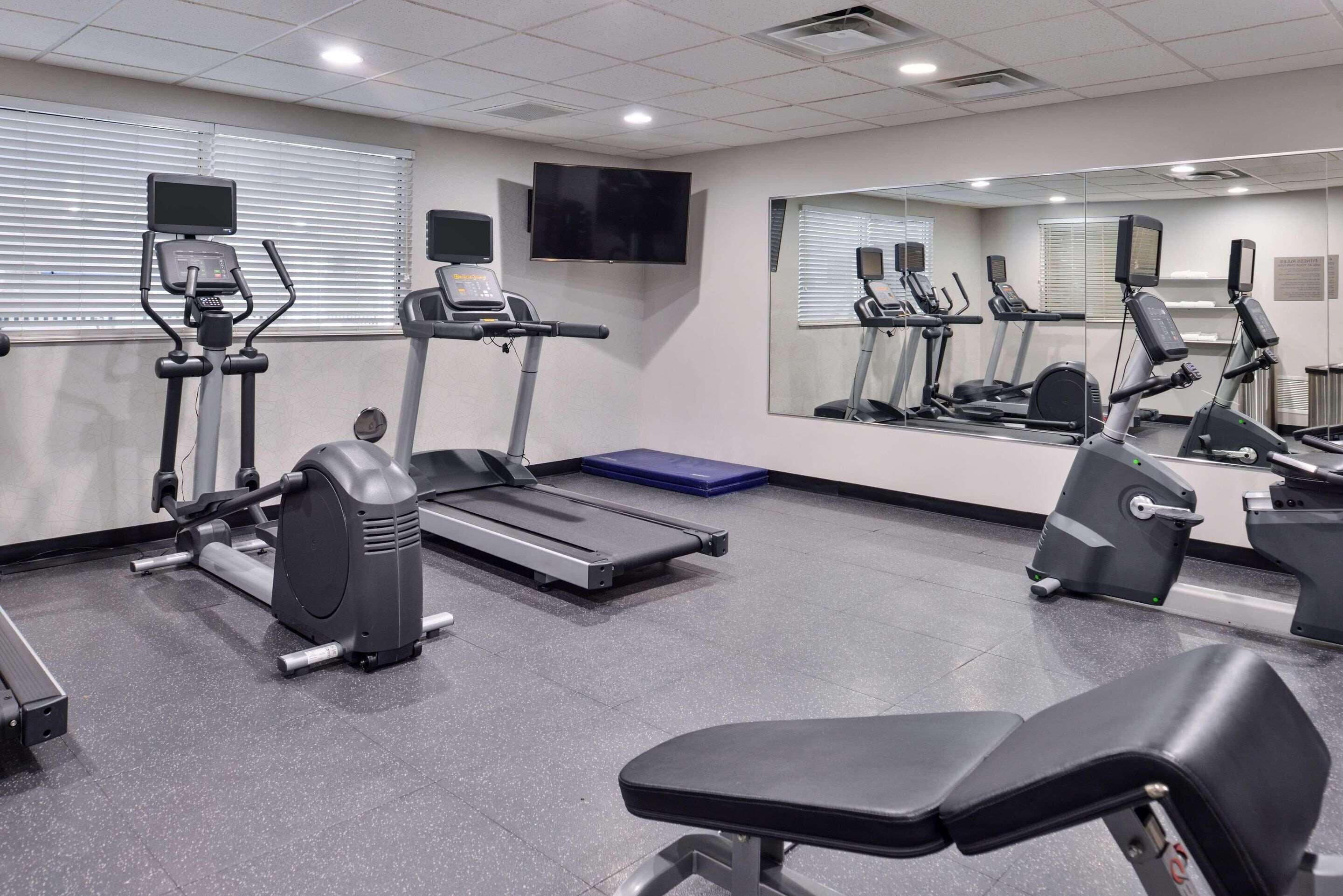 A gym with treadmills, elliptical machines, and a bench.