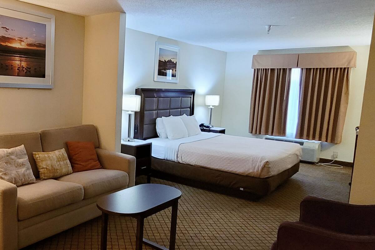 A hotel room with a bed, a sofa, a small table, a nightstand, a lamp, and a picture on the wall.