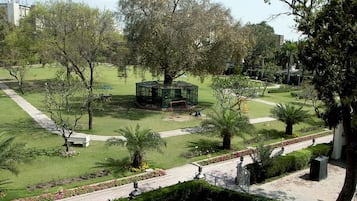 Vista desde la habitación