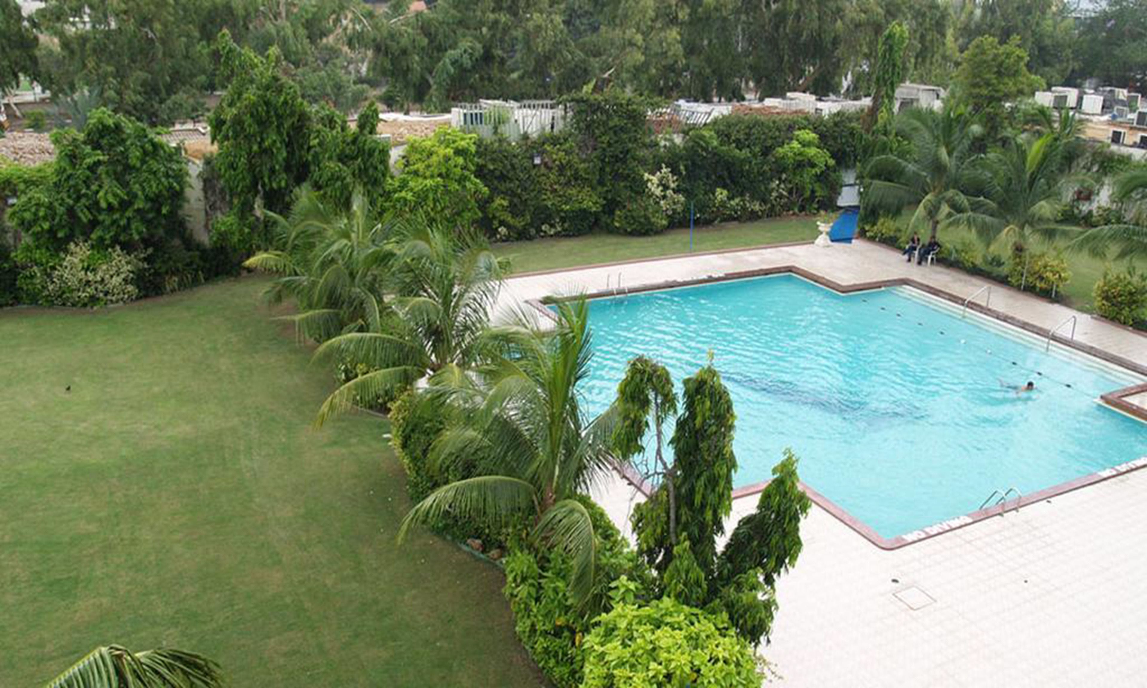 A swimming pool surrounded by lush greenery and palm trees.