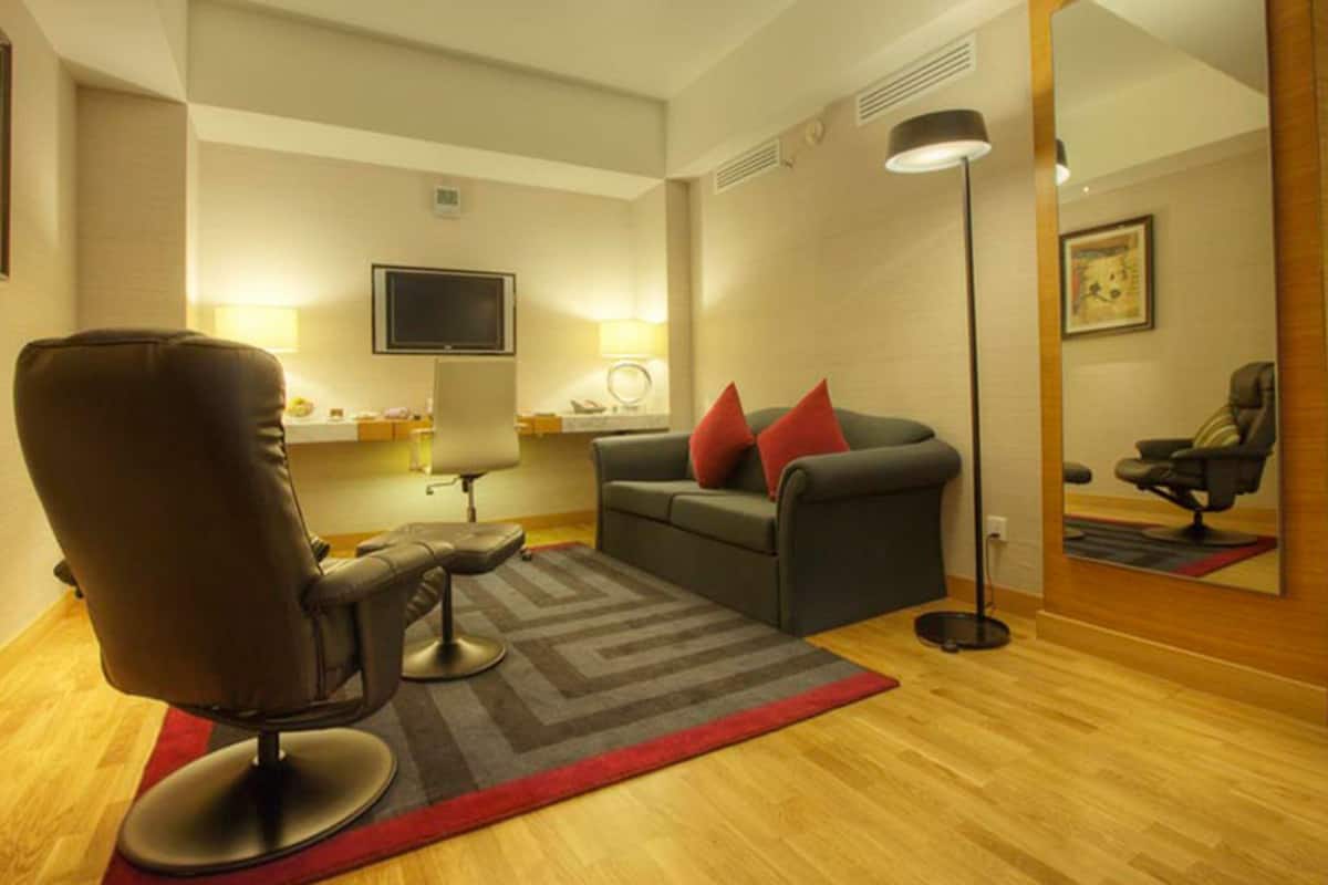 executive room, 1 bedroom, allergy friendly, garden view | living area | tv, fireplace