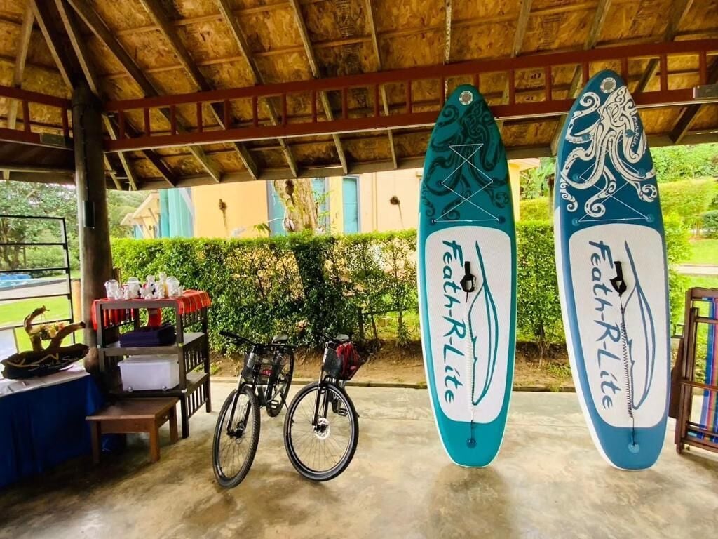 Two surfboards with the text 'Path-R-Lite' hanging on a wooden structure.