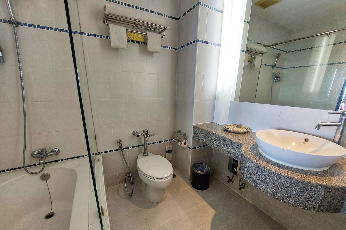 Separate tub and shower, free toiletries, hair dryer, bathrobes