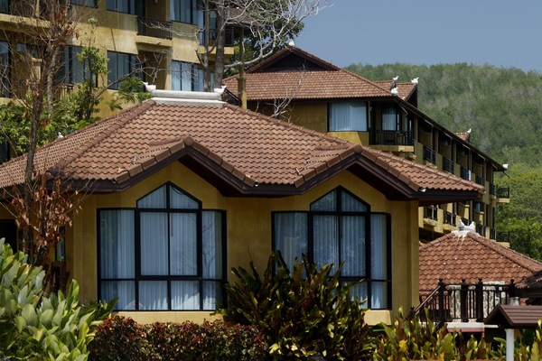 3 albercas al aire libre y camastros