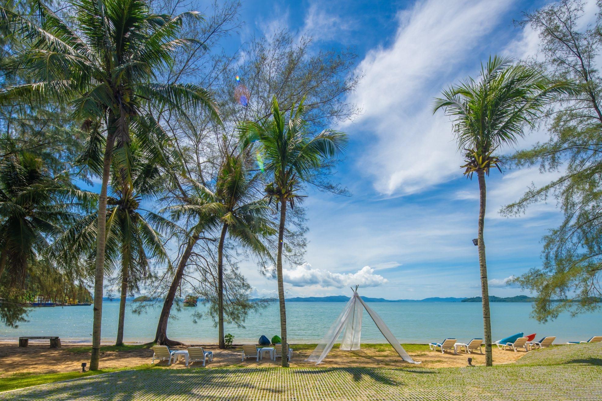 A beach with palm trees, a tent, and lounge chairs.
